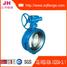 Butterfly Valve and Flanges